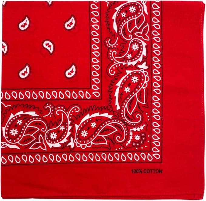 Brown/red patterned scarf